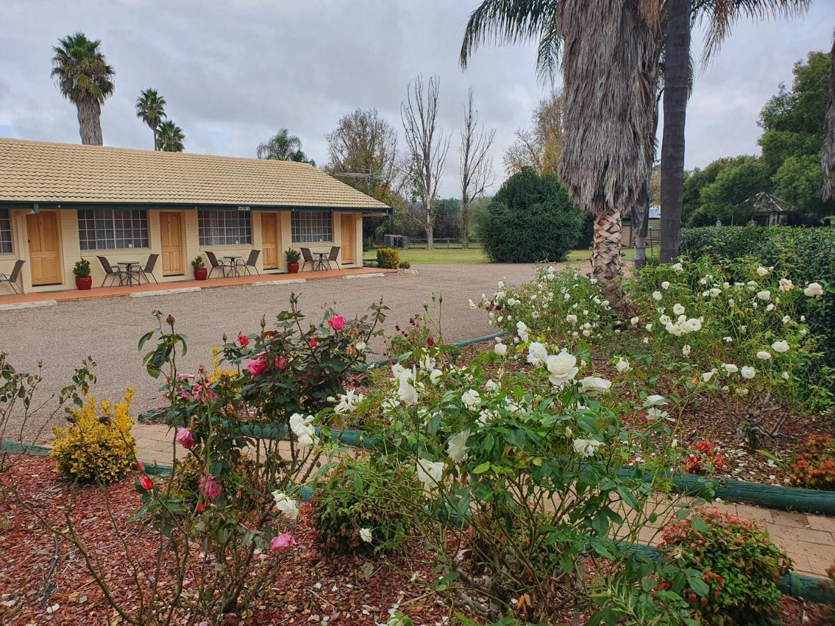 The Aston Motel Tamworth Exterior foto